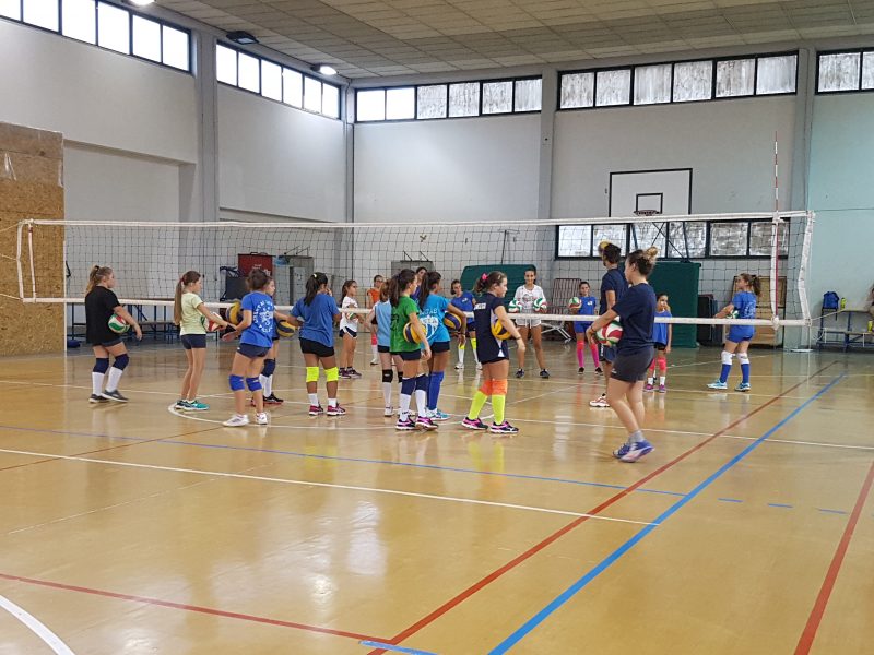 ovolley1